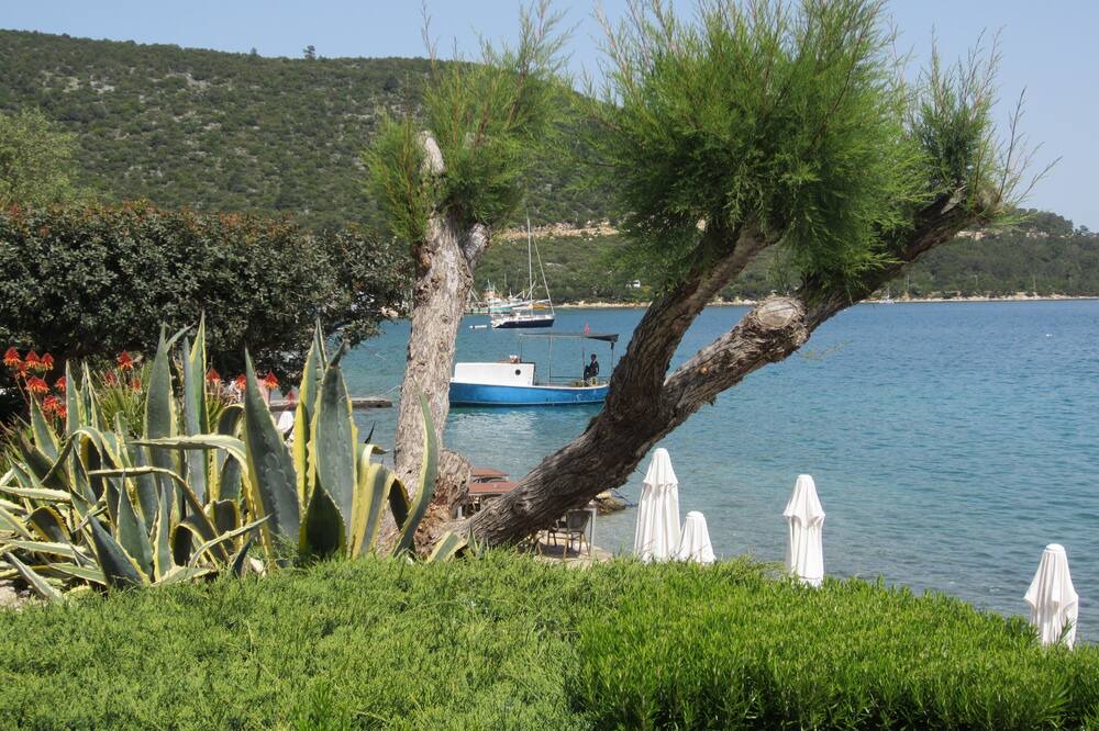 Photo of Others in Torba