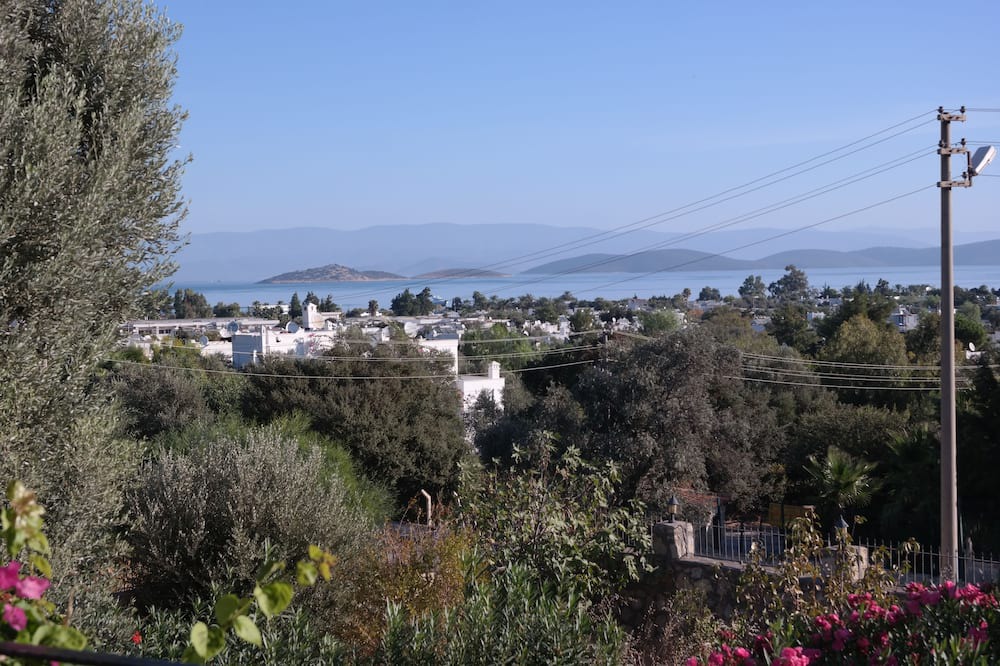 Photo of Outdoor in Torba