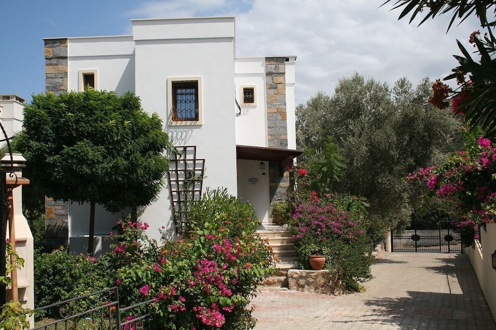 Photo of Outdoor in Torba