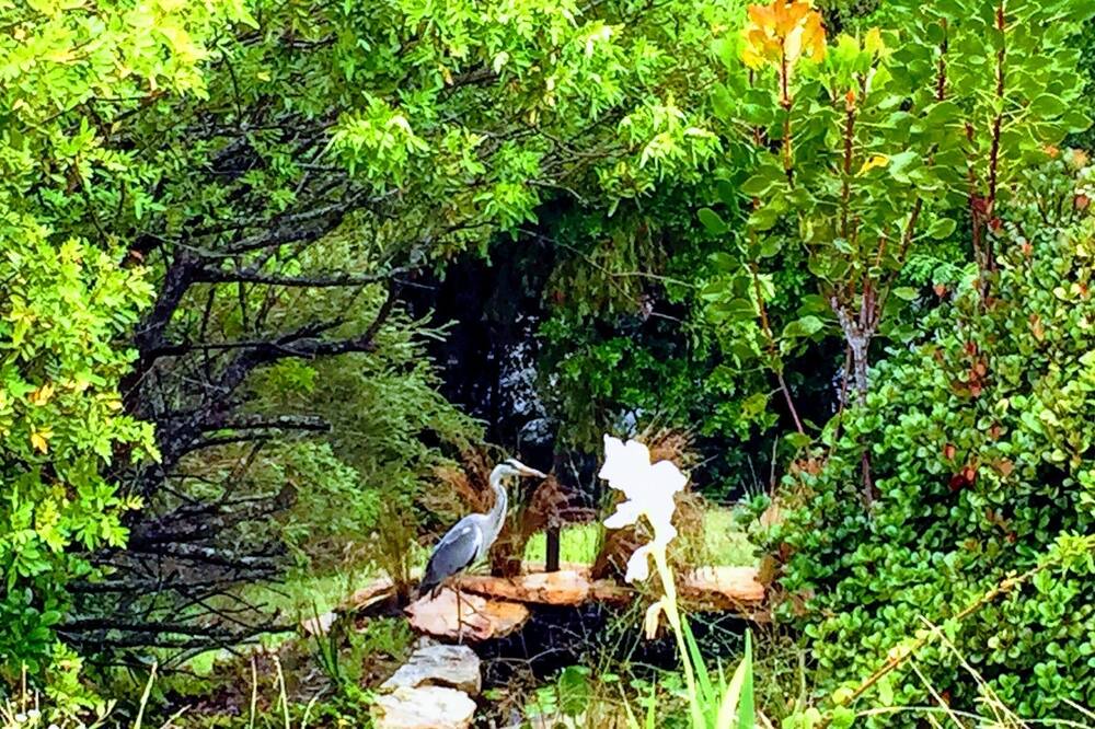 Photo of Outdoor in Hunter's Home