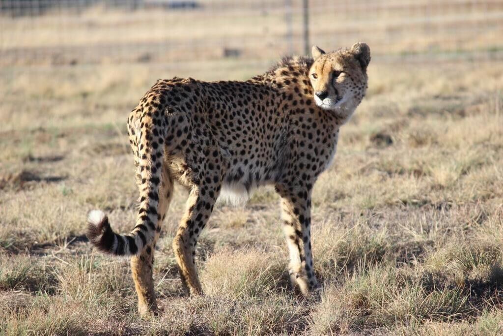 Photo of Outdoor in Phumelela