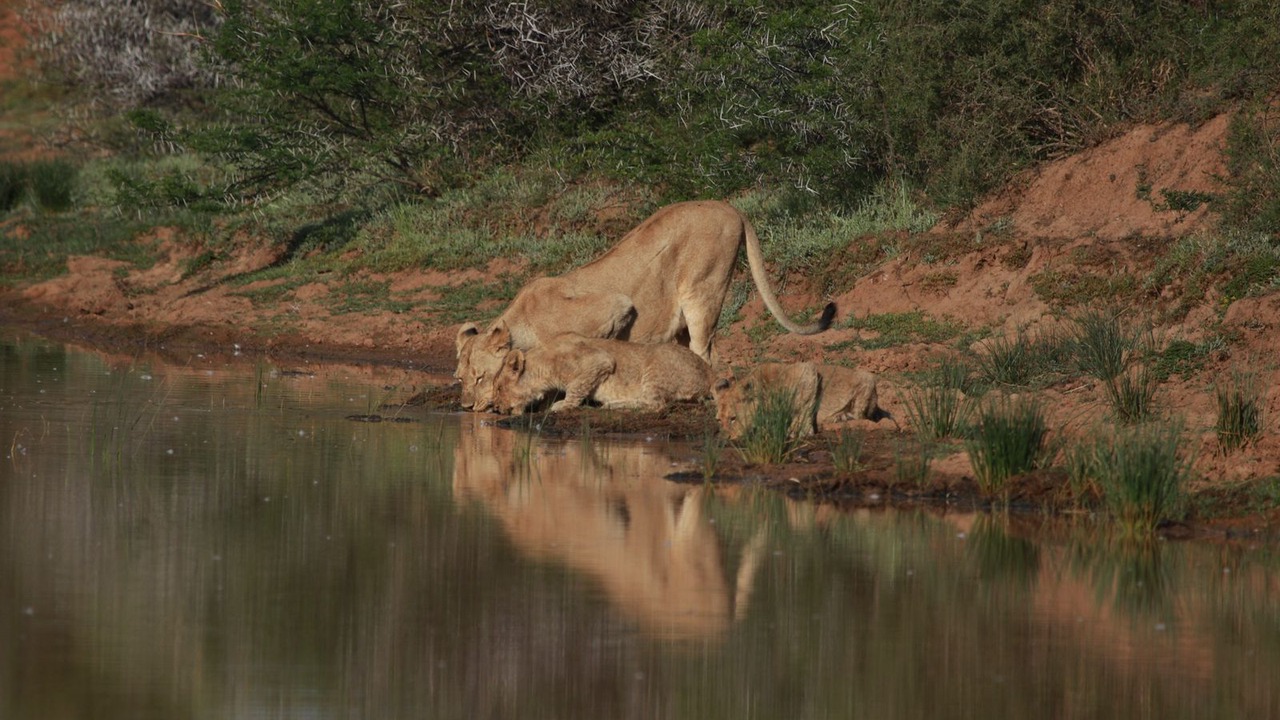 Photo of Others in Makana
