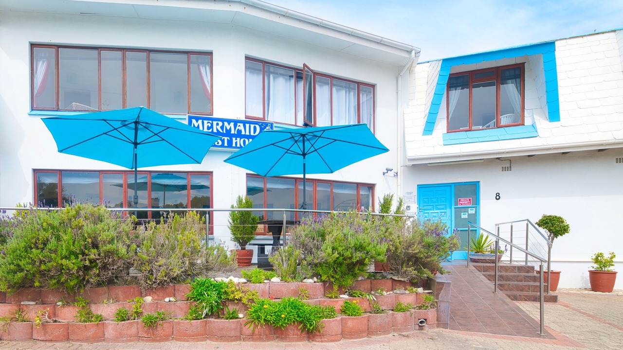 Photo of Outdoor in Struisbaai