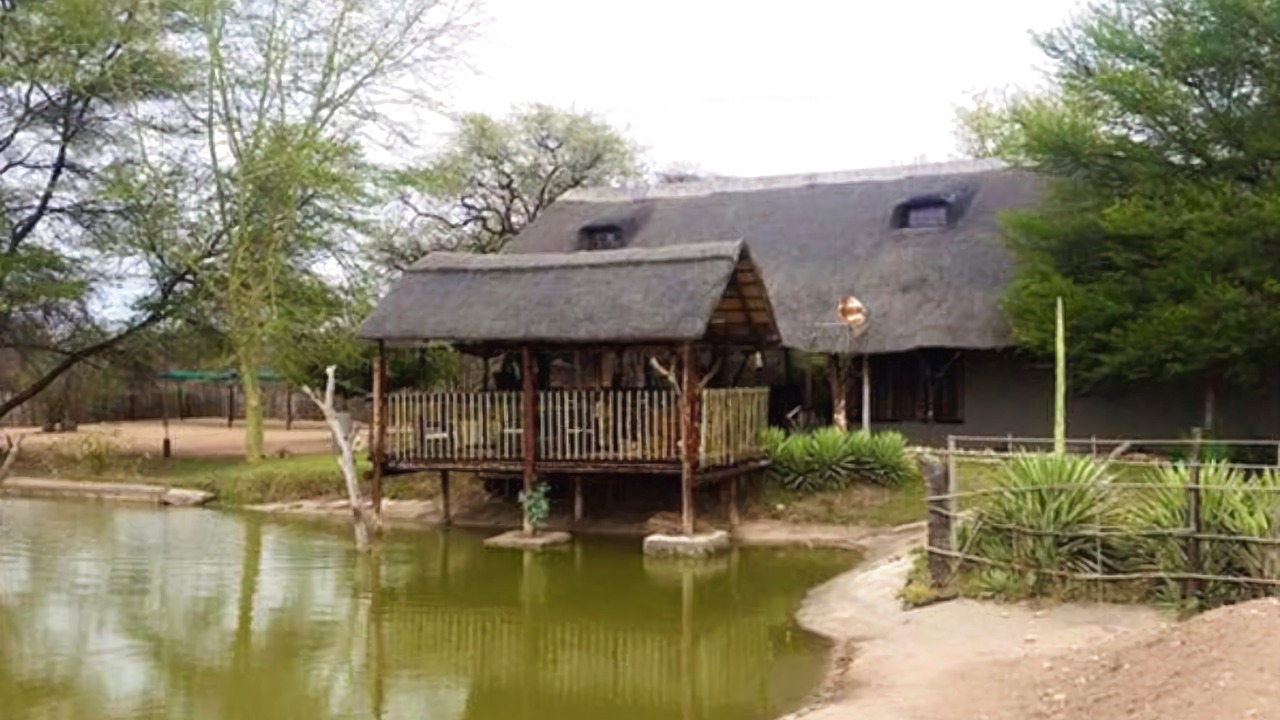 Photo of Outdoor in Vivo