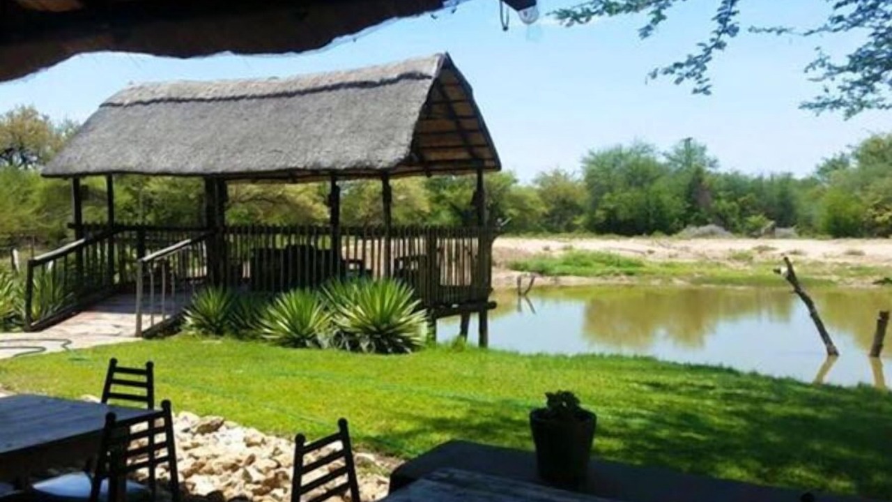Photo of Outdoor in Vivo