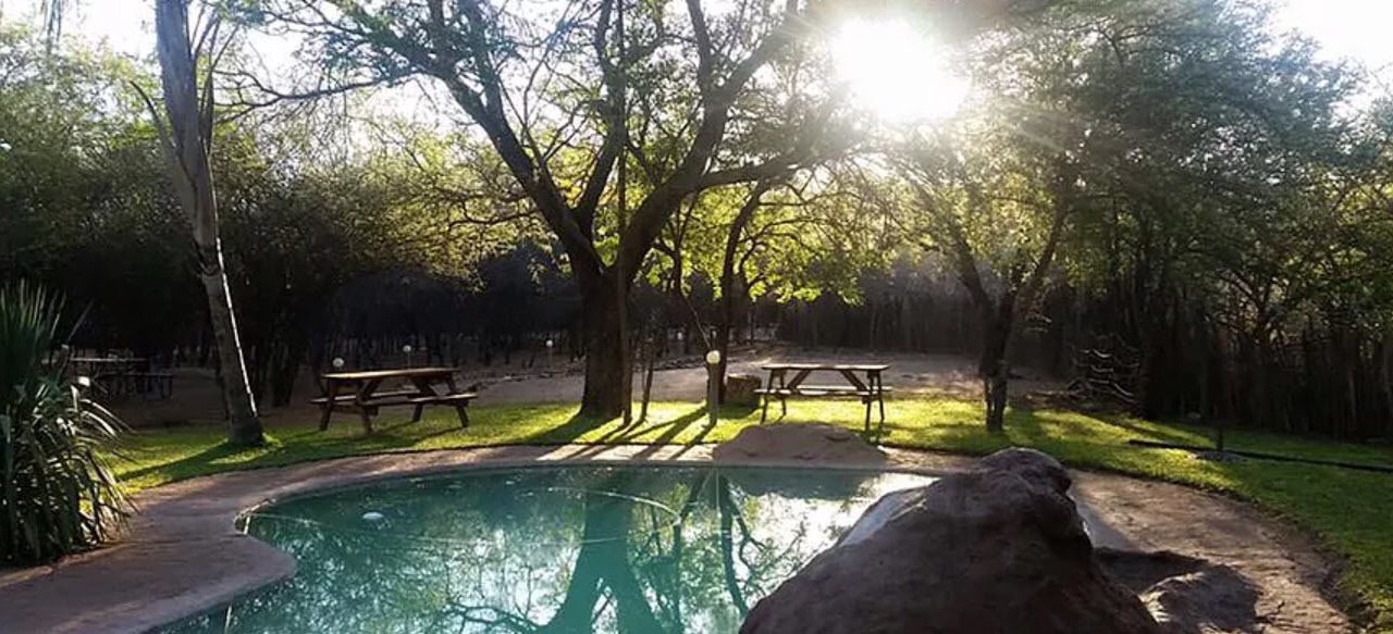 Photo of Outdoor in Vivo