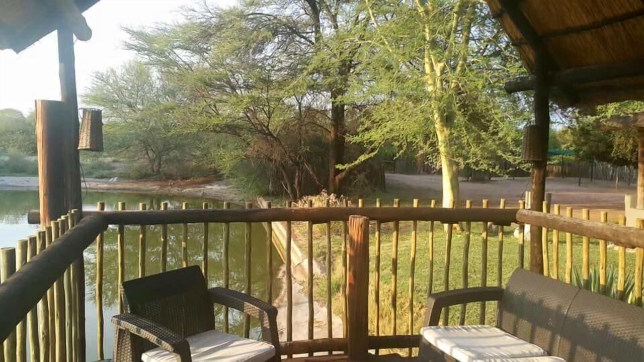 Photo of Outdoor in Vivo
