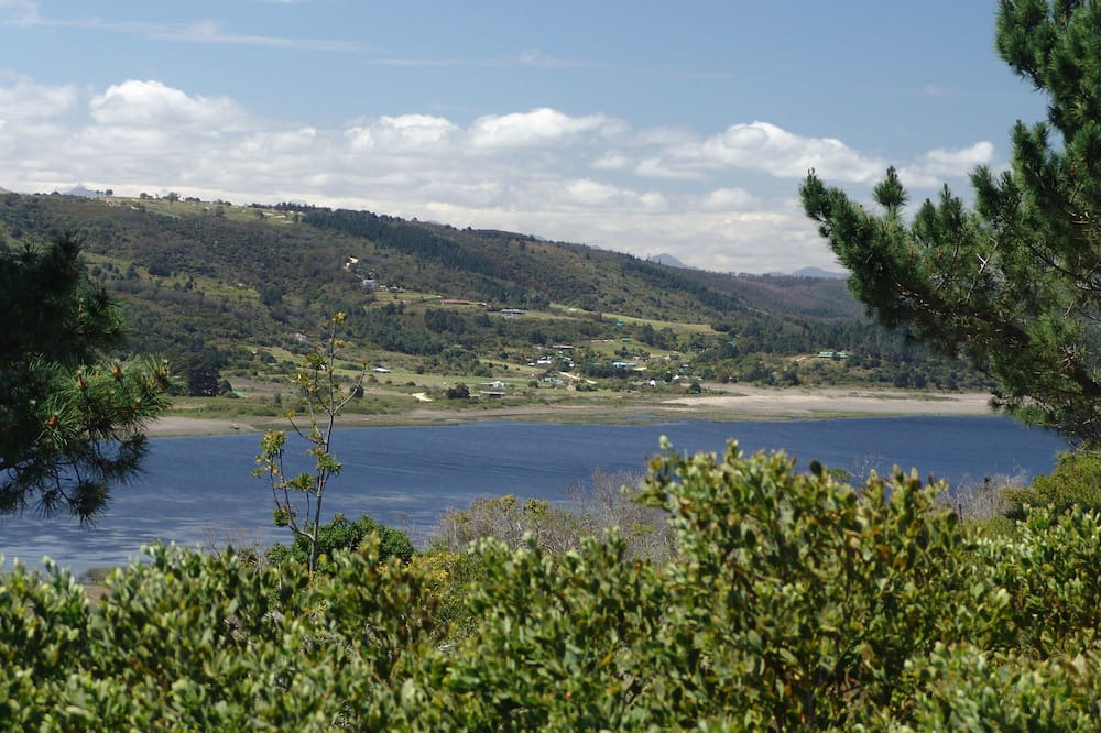 Photo of Outdoor in Wilderness