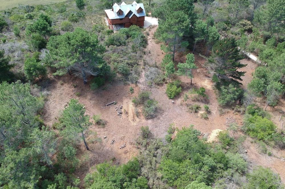 Photo of Others in Wilderness