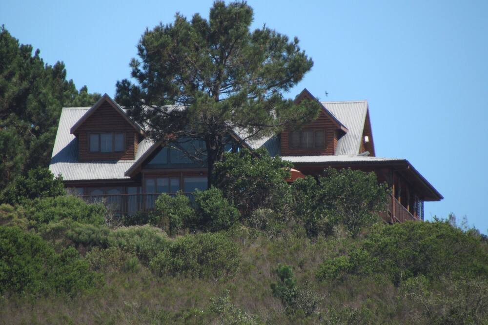 Photo of Others in Wilderness