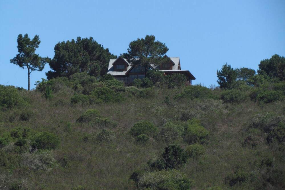 Photo of Others in Wilderness
