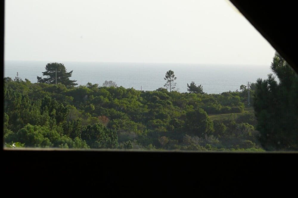 Photo of Others in Wilderness