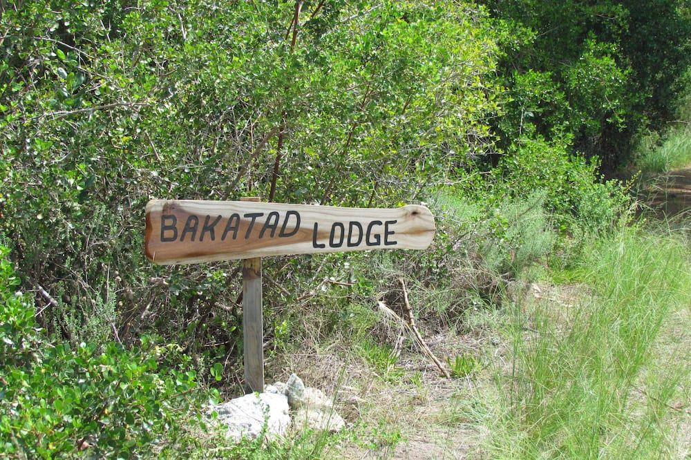 Photo of Others in Wilderness