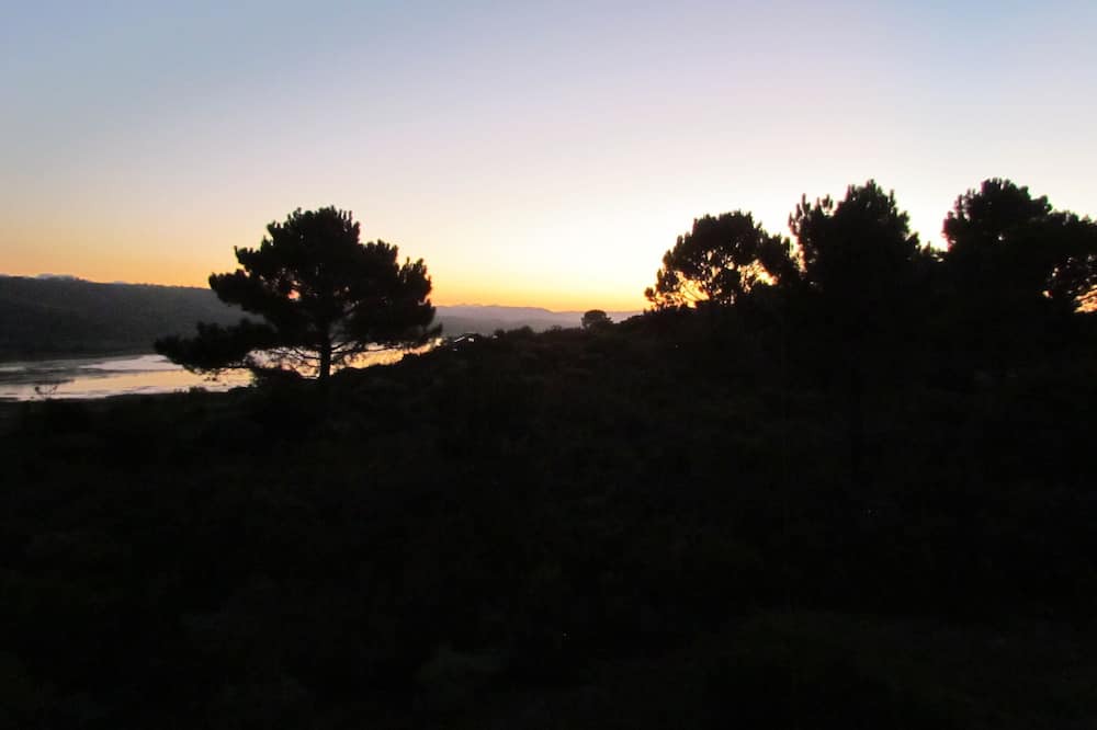 Photo of Outdoor in Wilderness