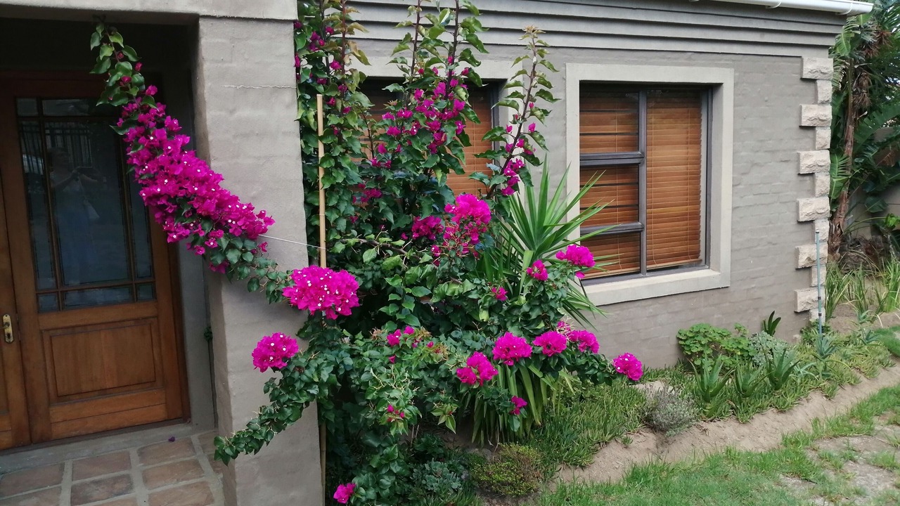 Photo of Outdoor in Somerset West