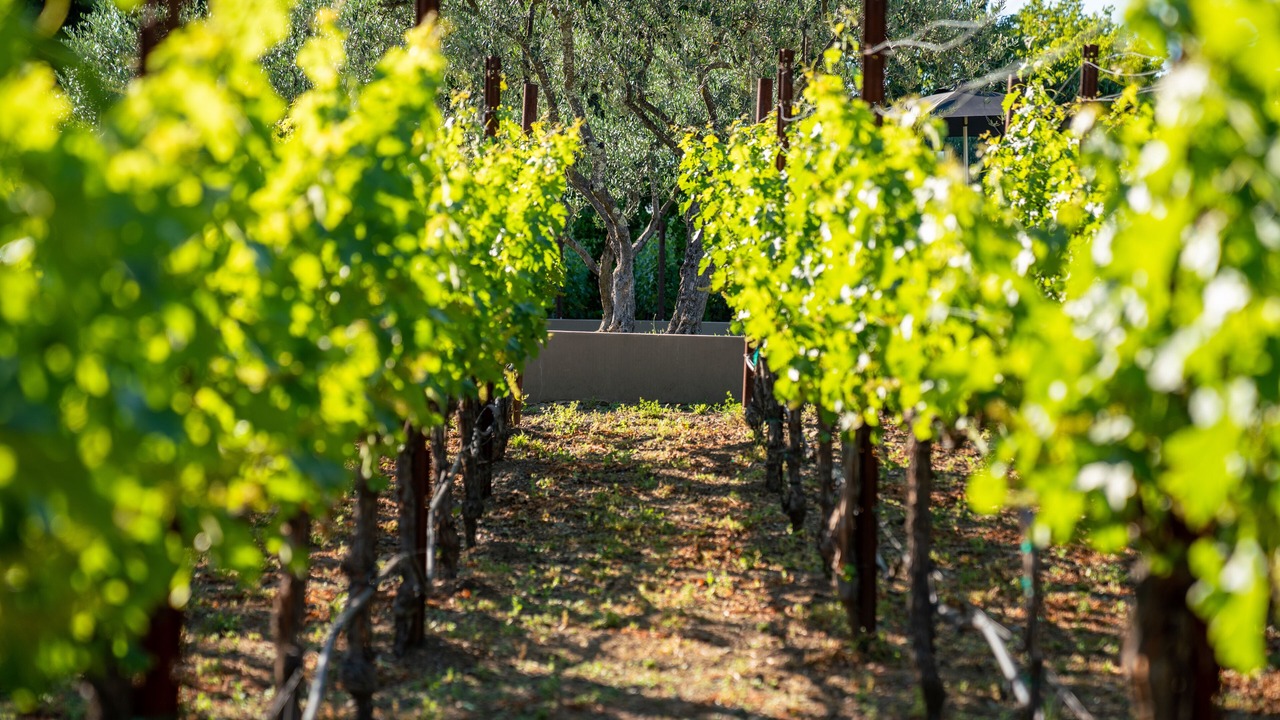 Photo of Outdoor in St. Helena