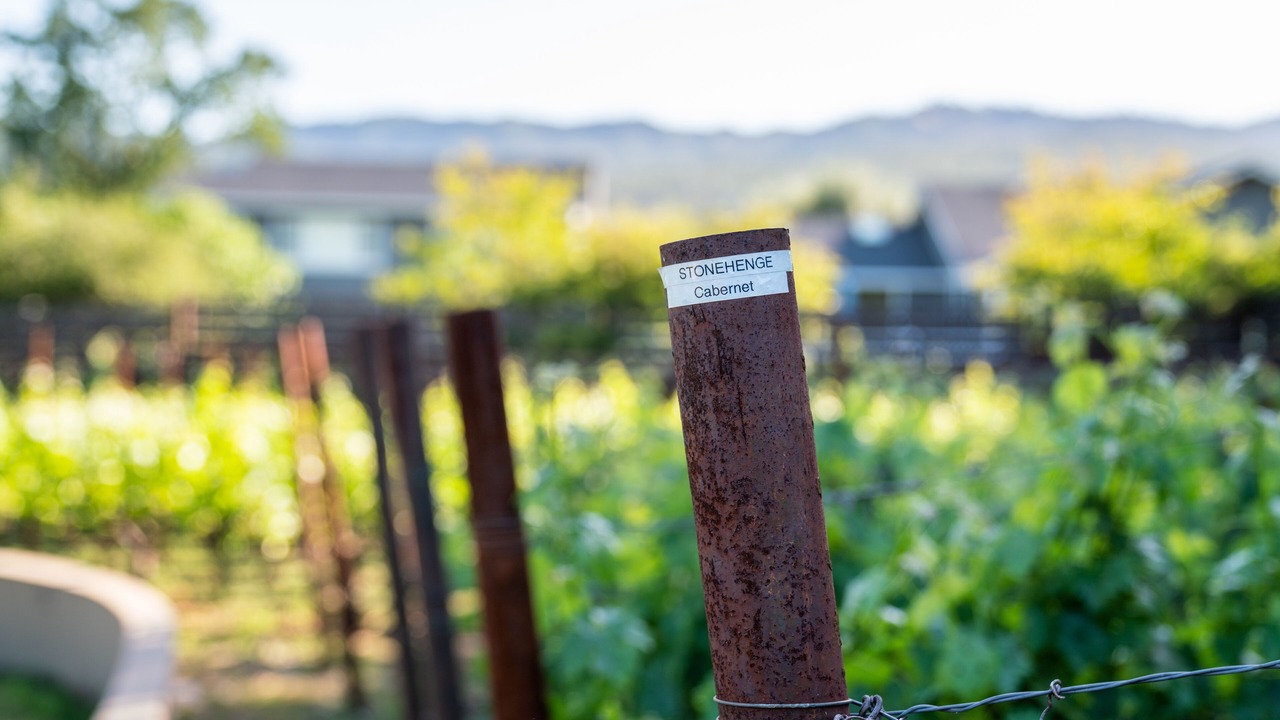 Photo of Outdoor in St. Helena