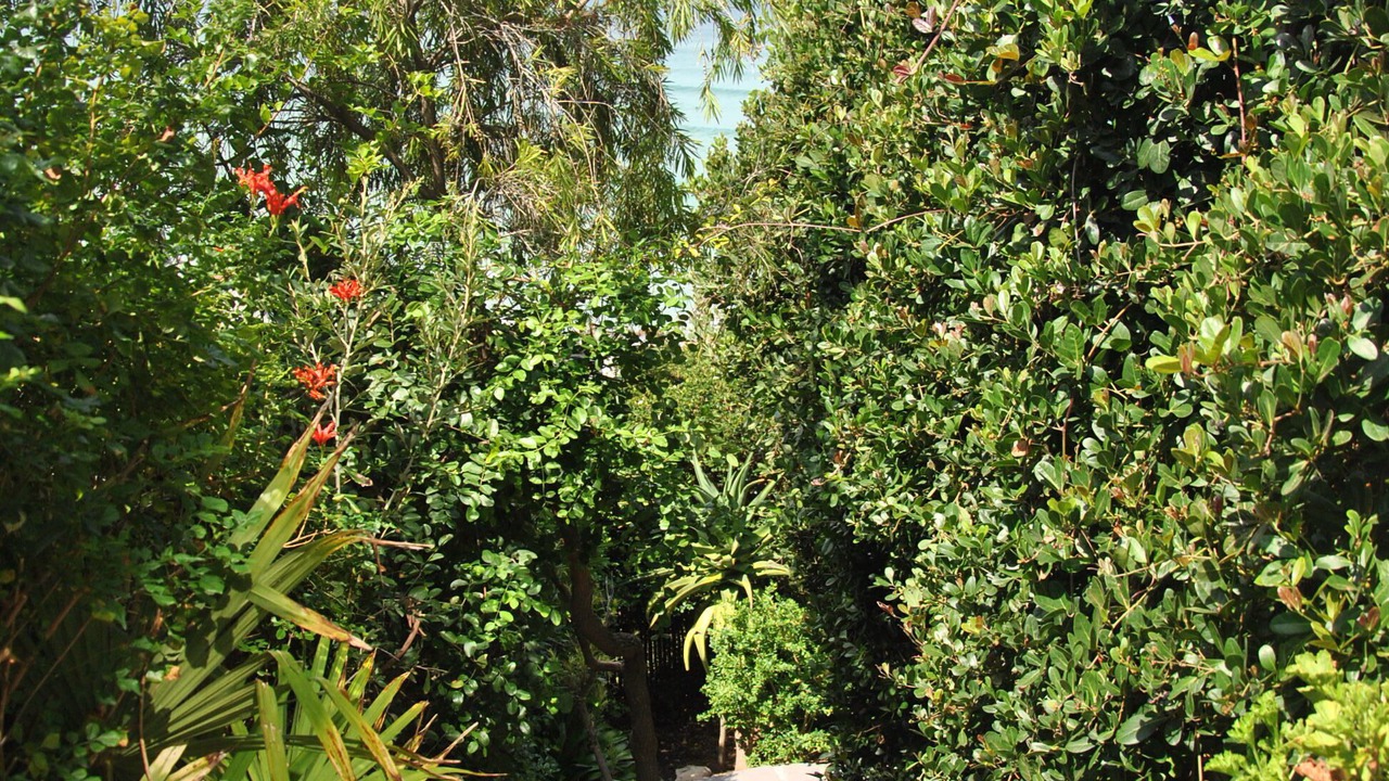 Photo of Outdoor in Redhill