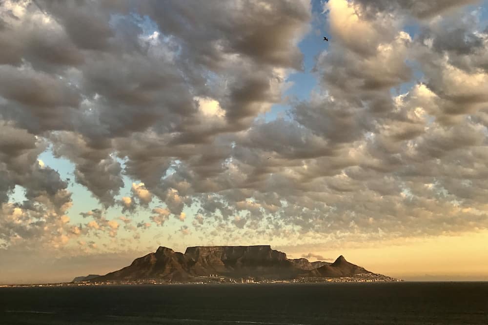 Photo of Others in Bloubergstrand