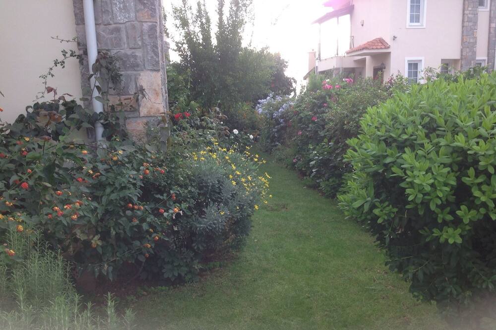 Photo of Outdoor in Ovacik