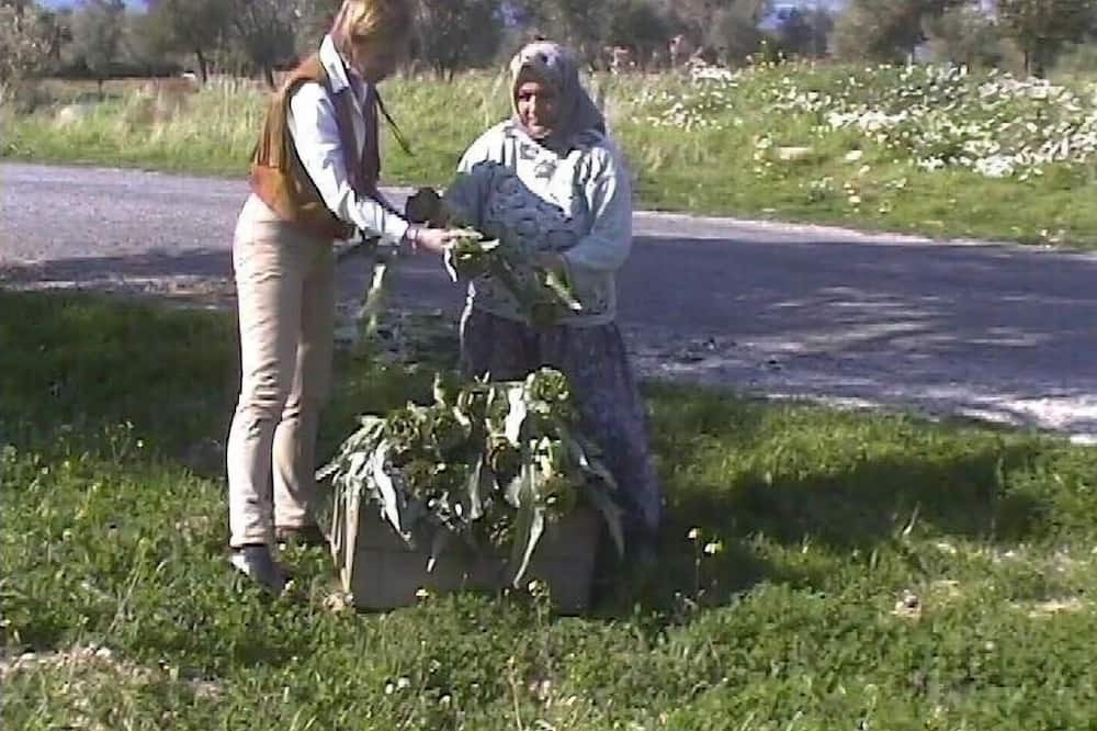 Photo of Others in Ildır Koyu