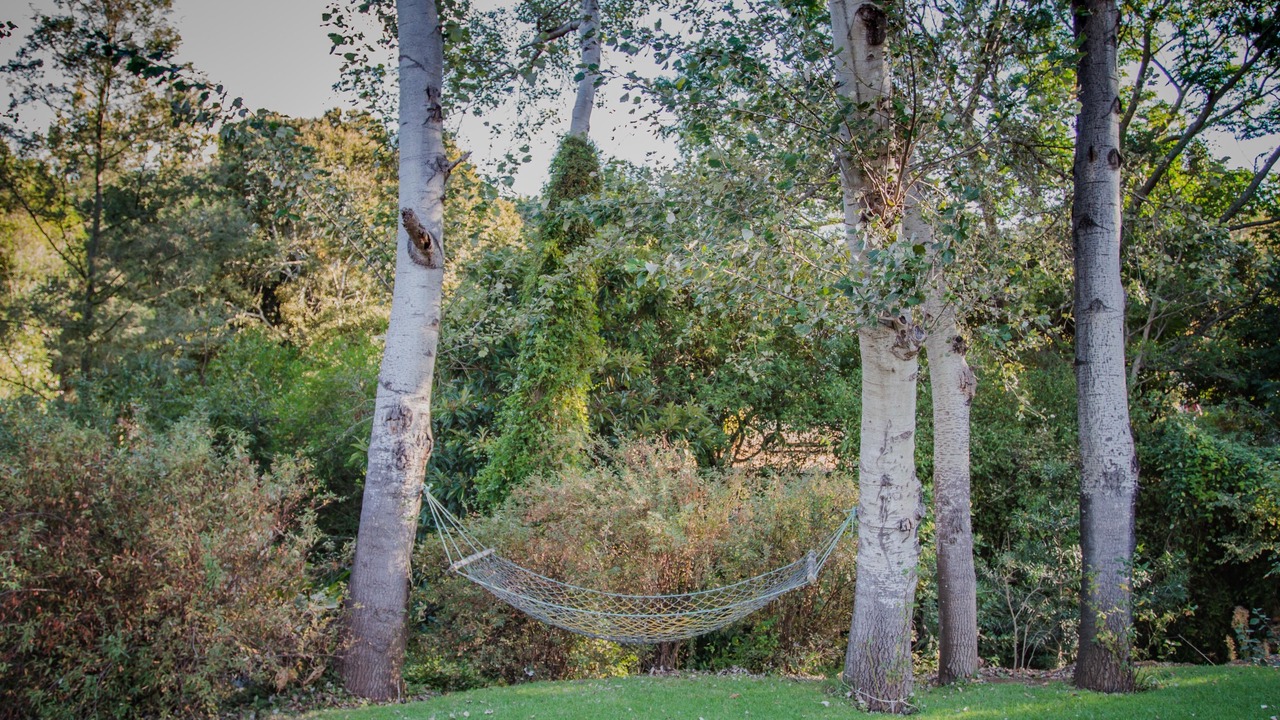 Photo of Outdoor in Swellendam