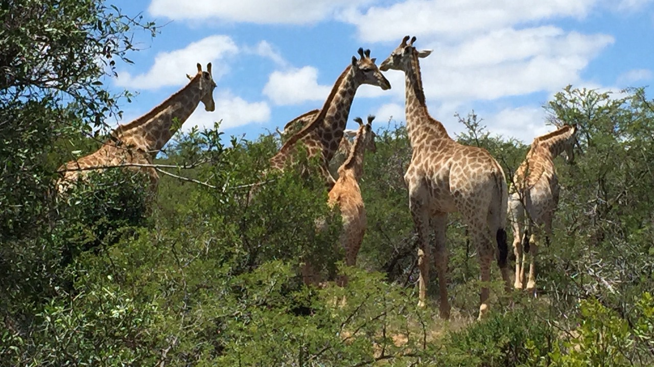 Photo of Outdoor in Port Alfred