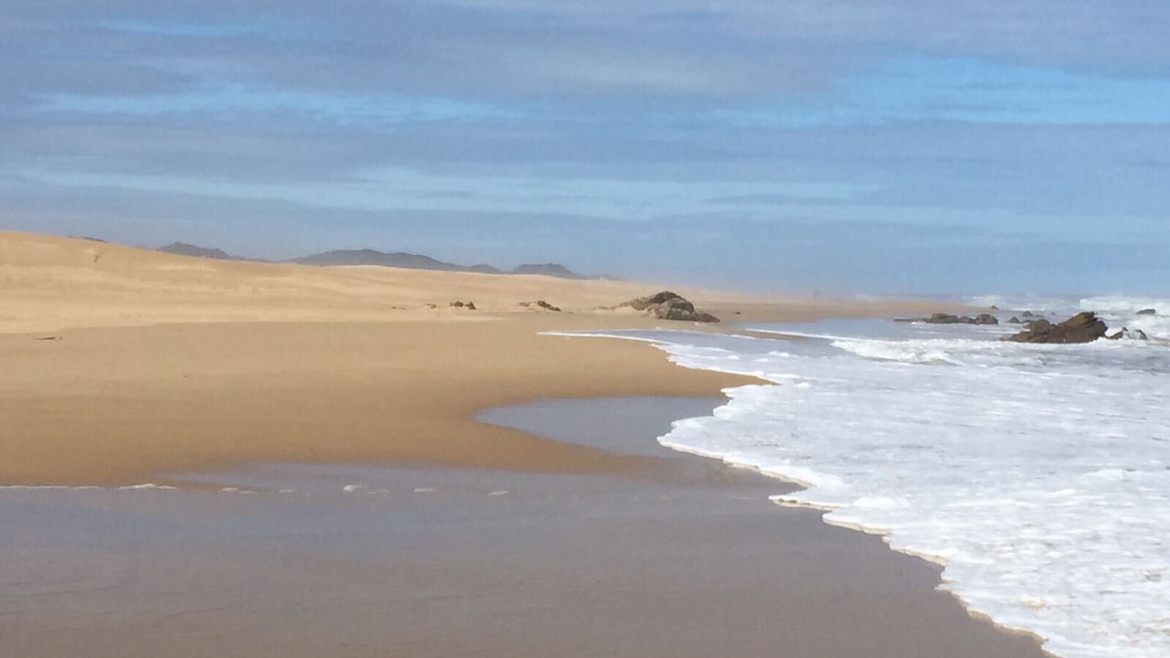 Photo of Others in Port Alfred