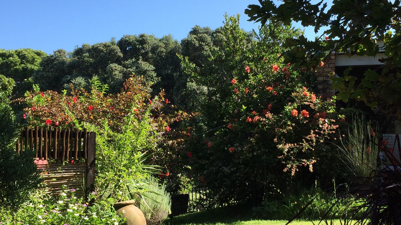 Photo of Outdoor in Port Alfred