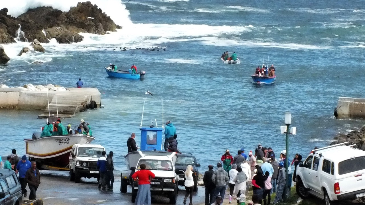 Photo of Others in Kleinmond