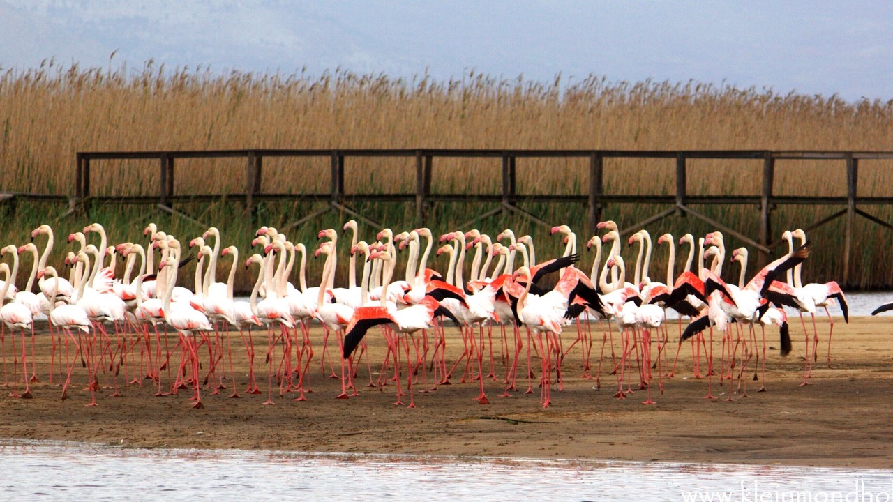 Photo of Outdoor in Kleinmond