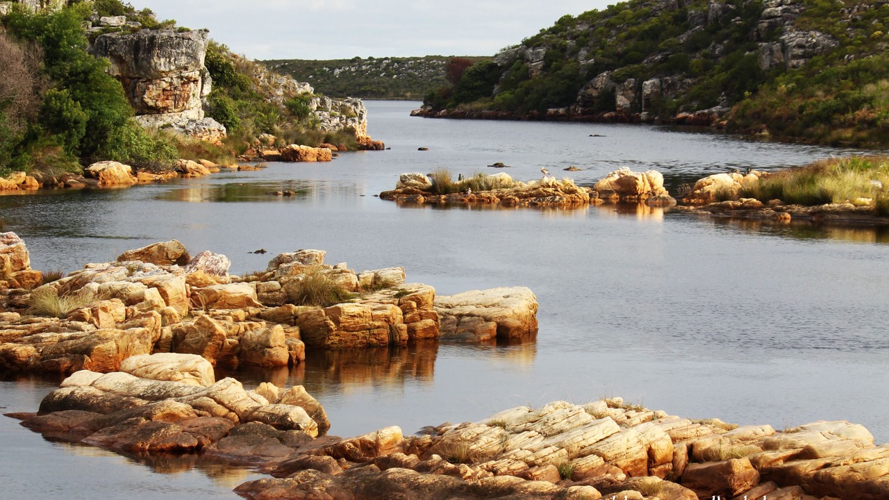 Photo of Others in Kleinmond