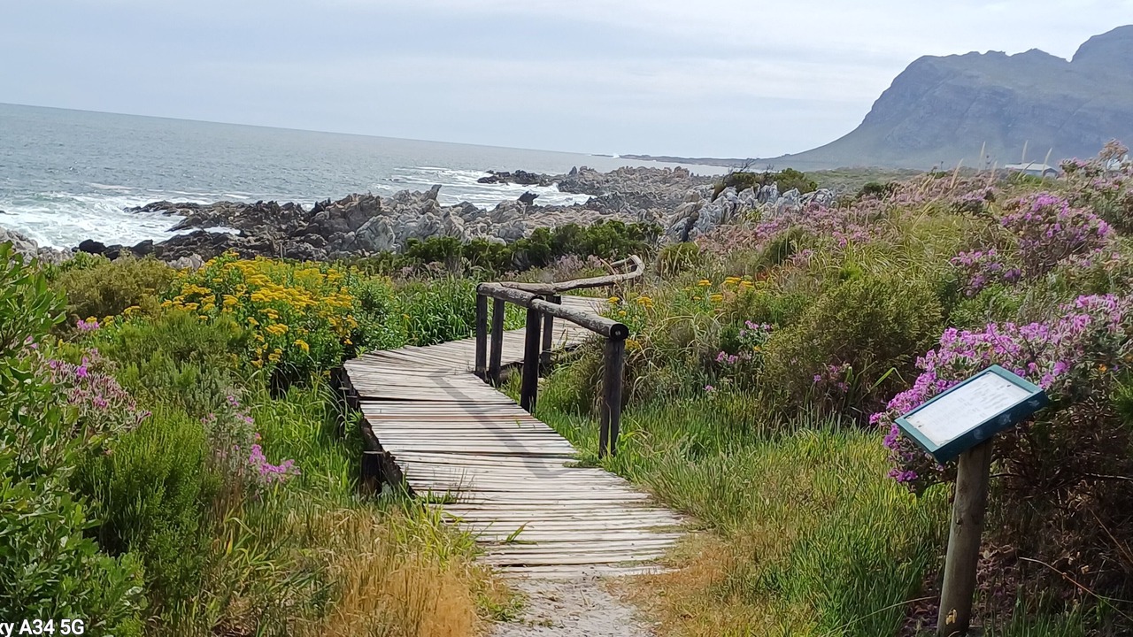 Photo of Outdoor in Kleinmond