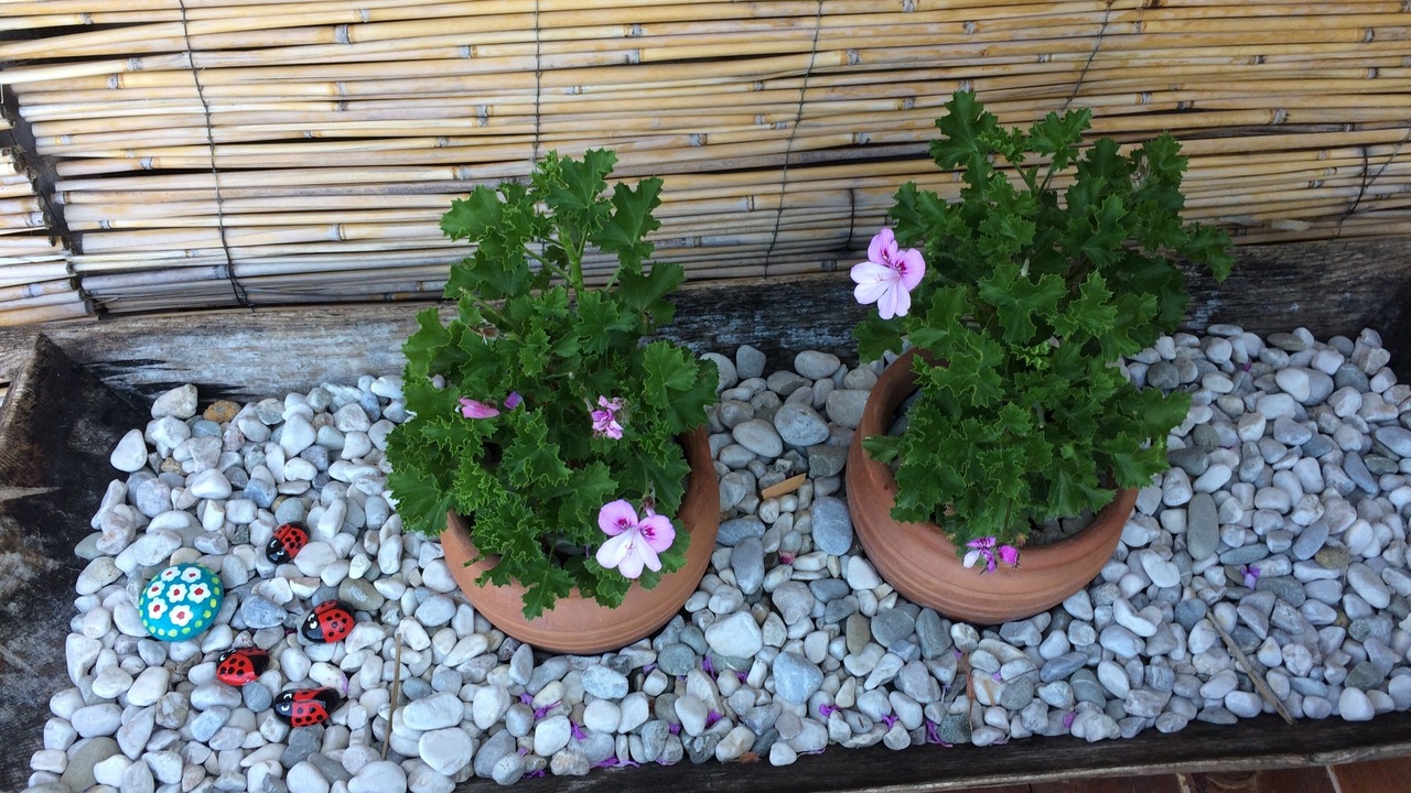 Photo of Outdoor in Sarıbelen