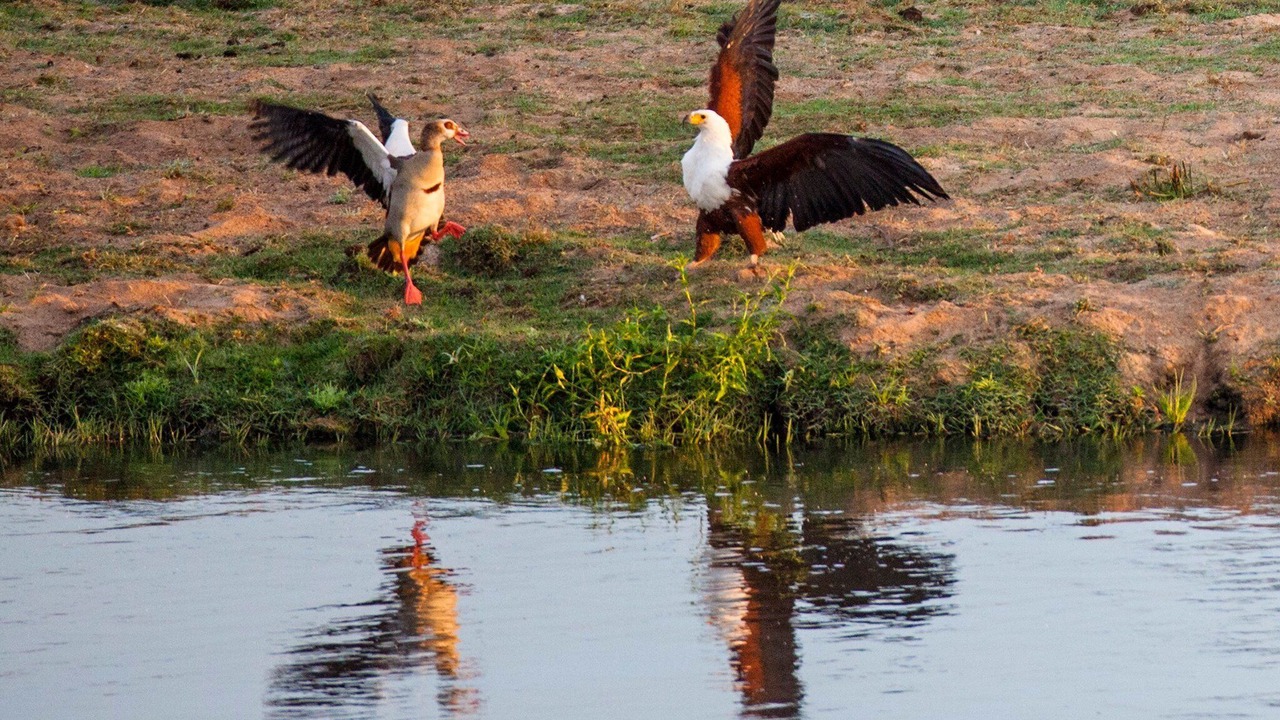 Photo of Outdoor in Buffelspruit