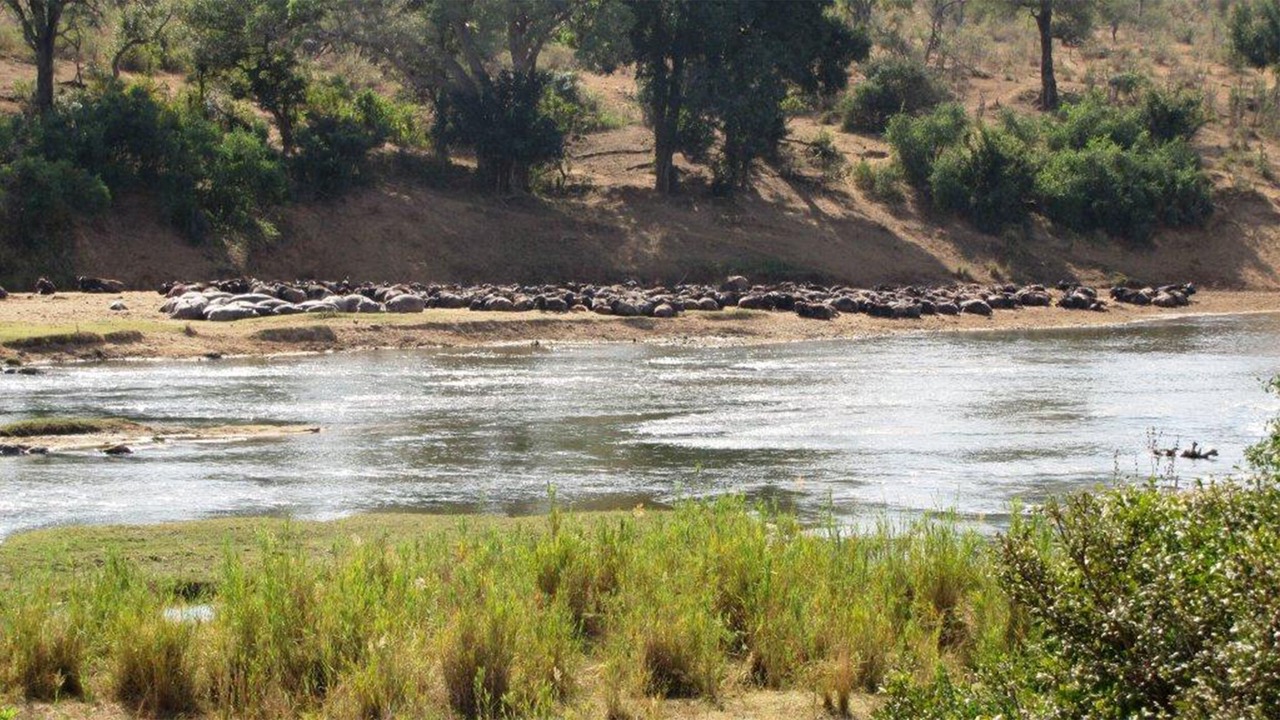 Photo of Others in Buffelspruit