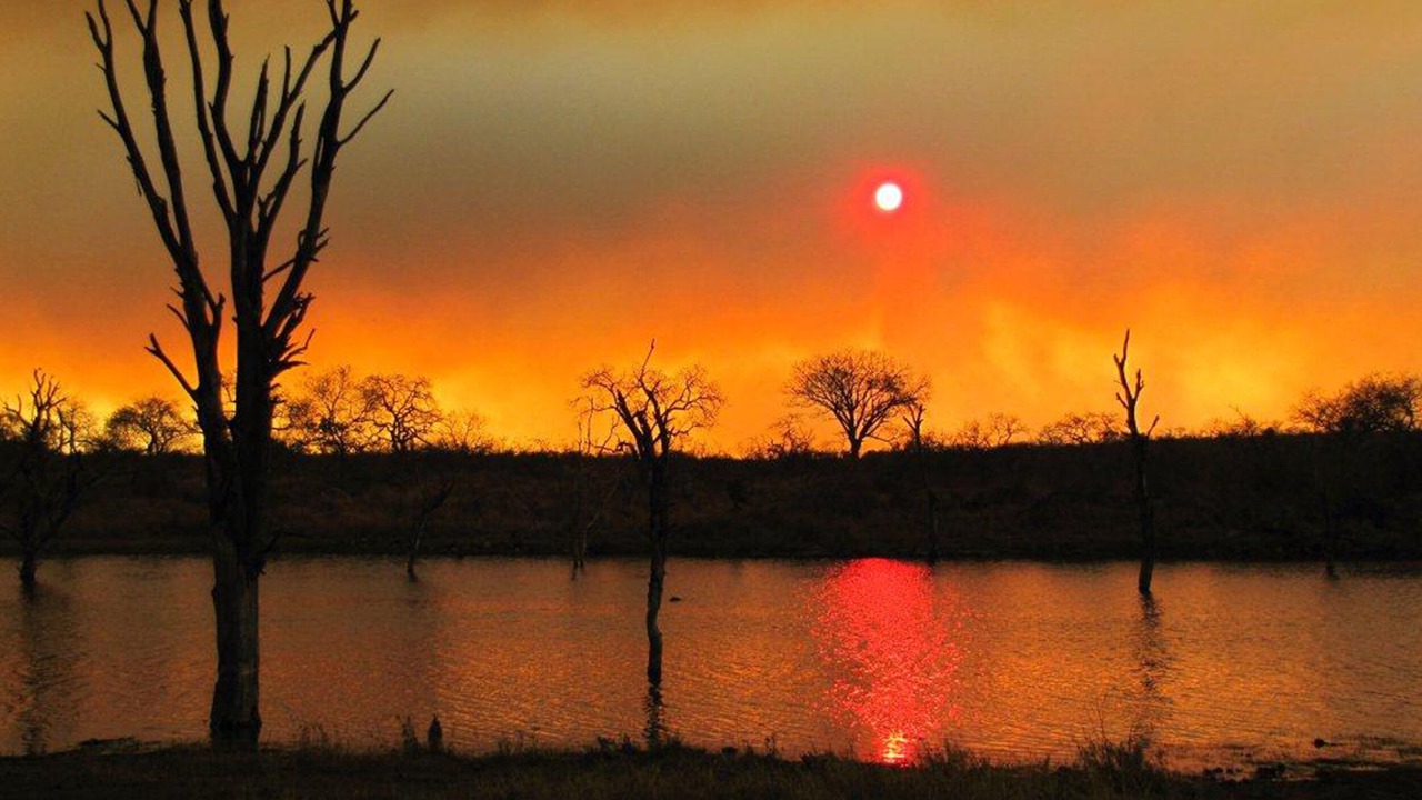 Photo of Others in Buffelspruit
