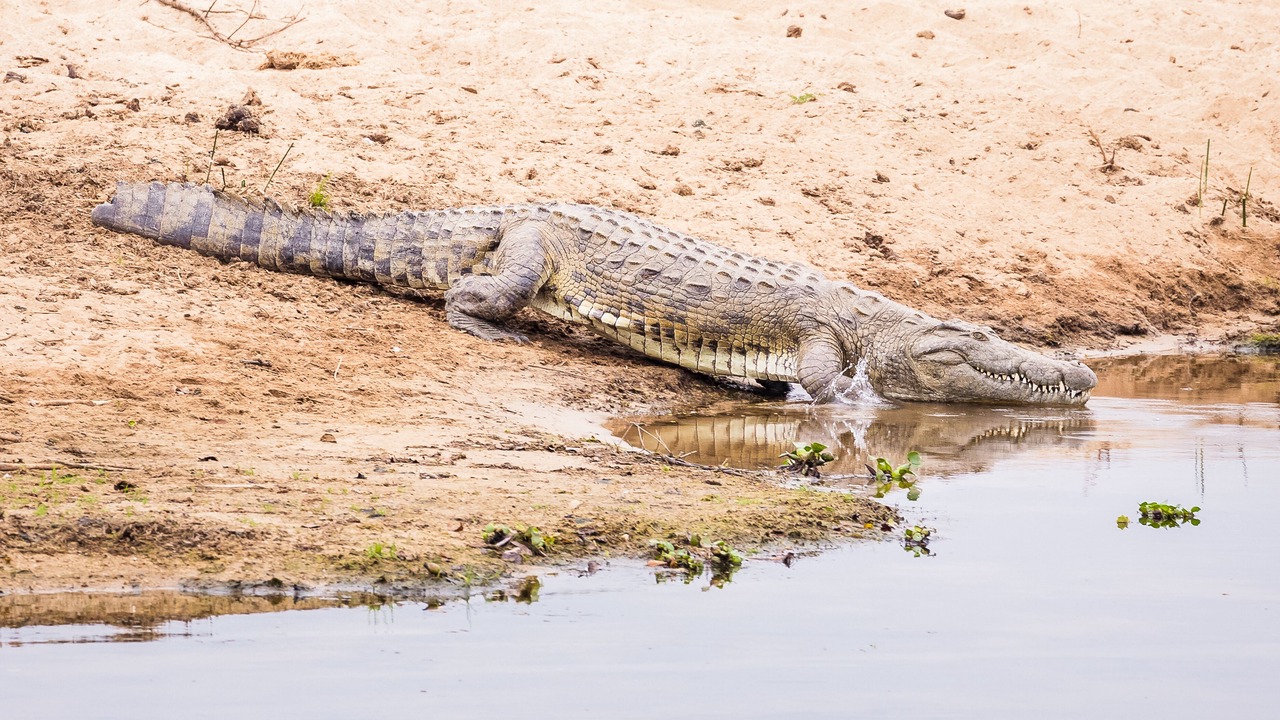 Photo of Others in Buffelspruit