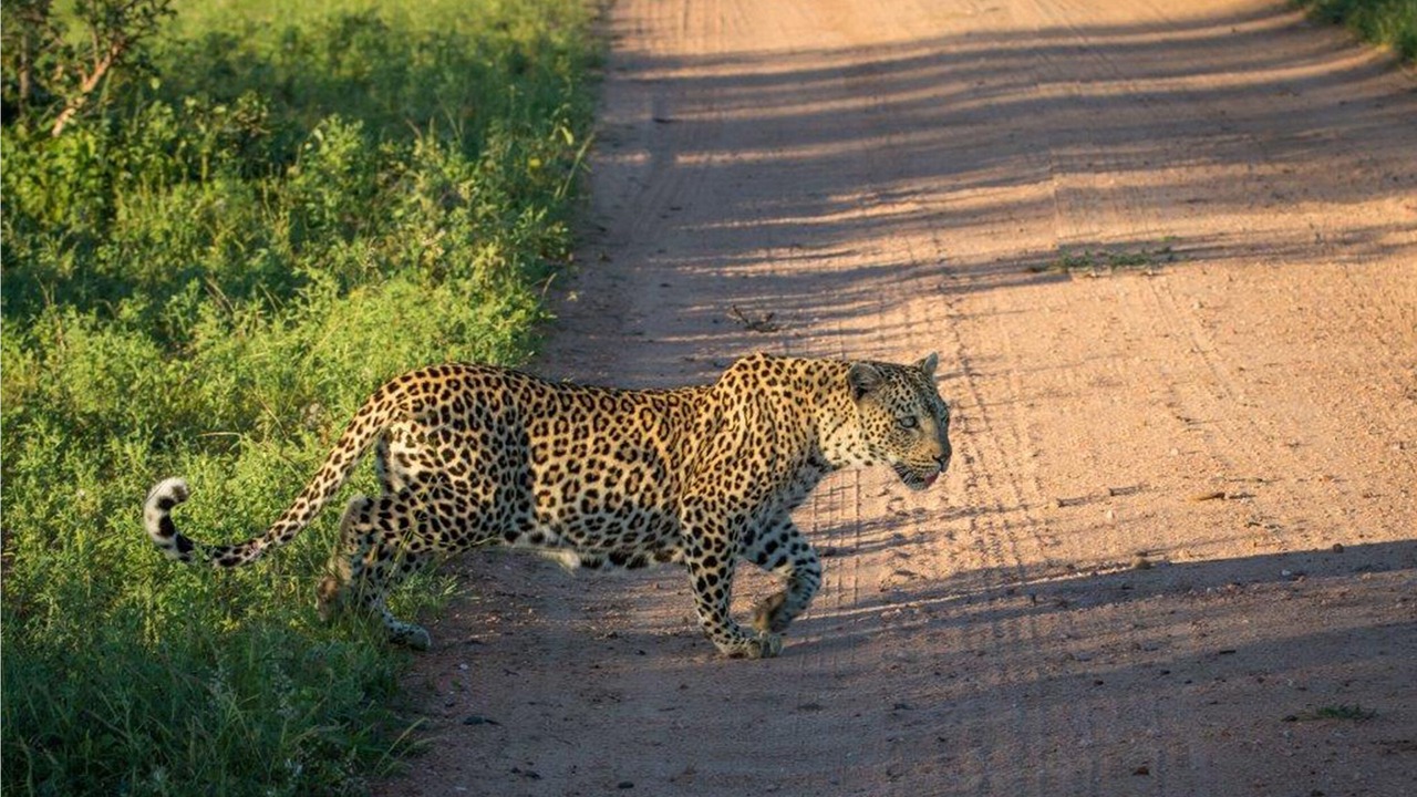 Photo of Outdoor in Buffelspruit