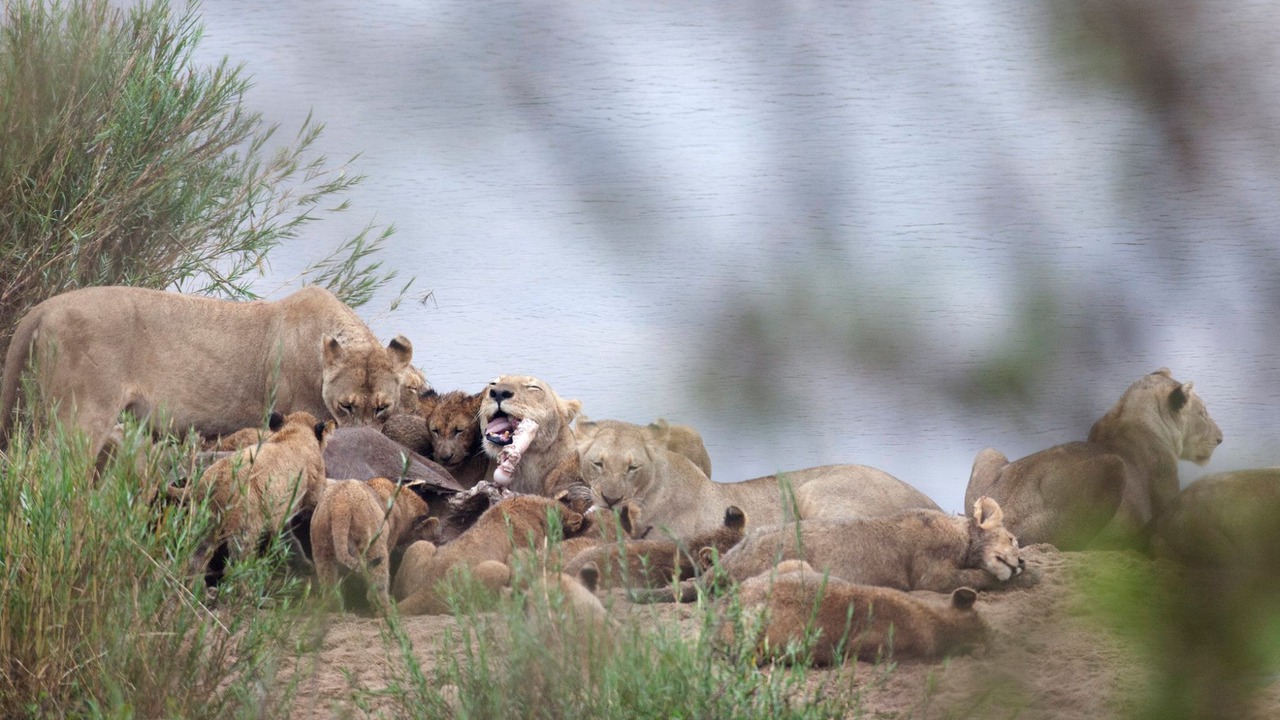 Photo of Outdoor in Buffelspruit