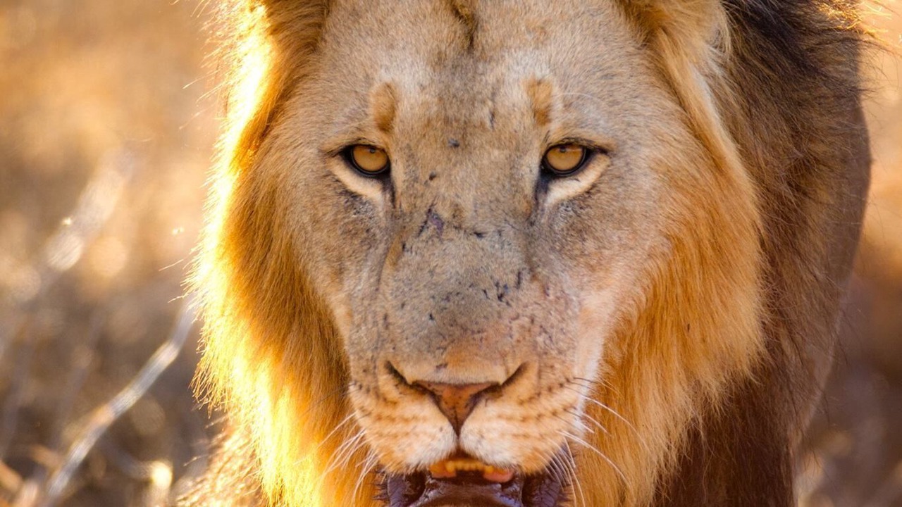 Photo of Others in Buffelspruit