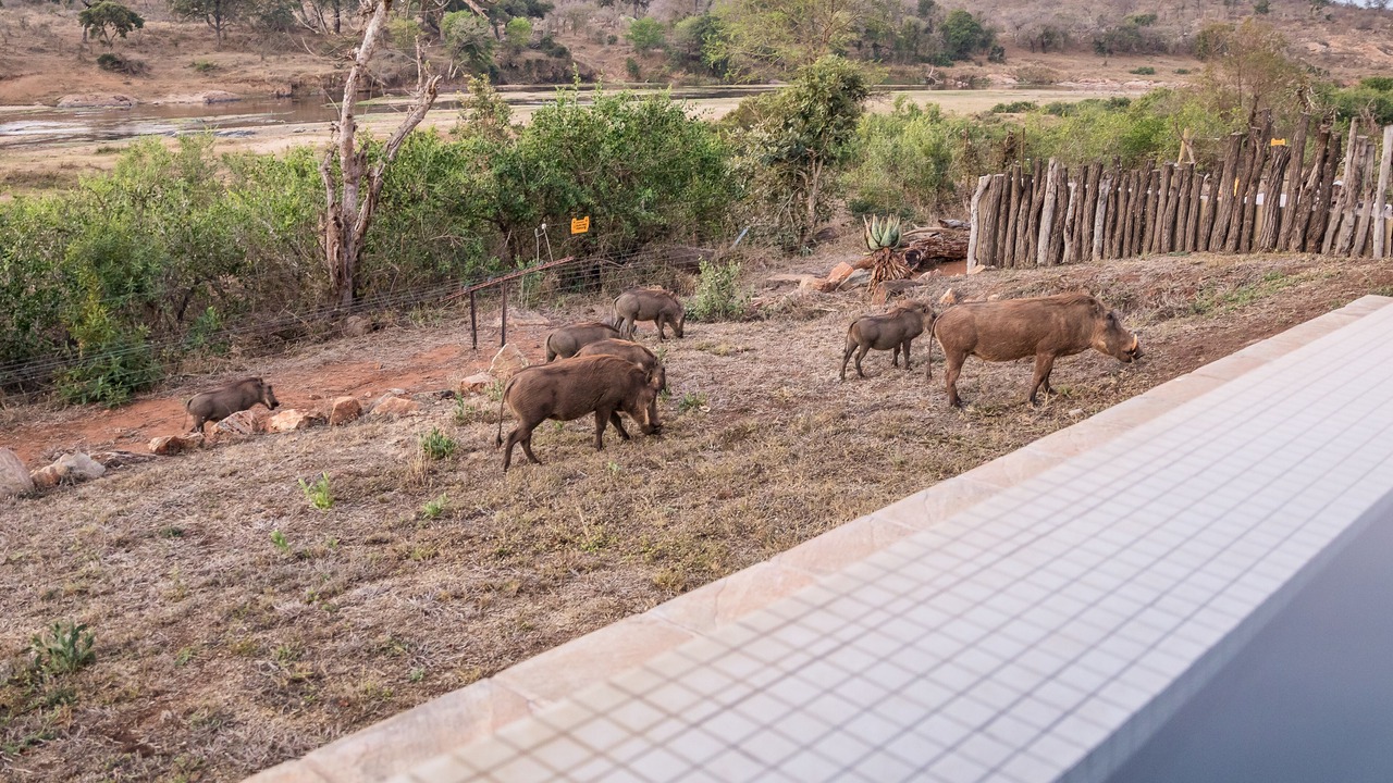 Photo of Outdoor in Buffelspruit