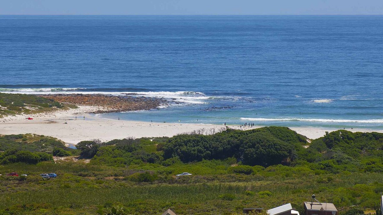 Photo of Others in Cape Peninsula