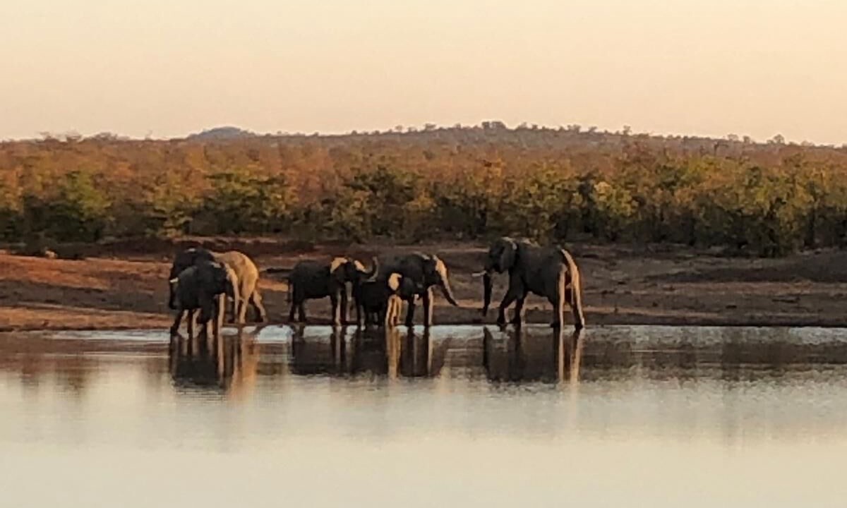 Photo of Others in Kruger National Park