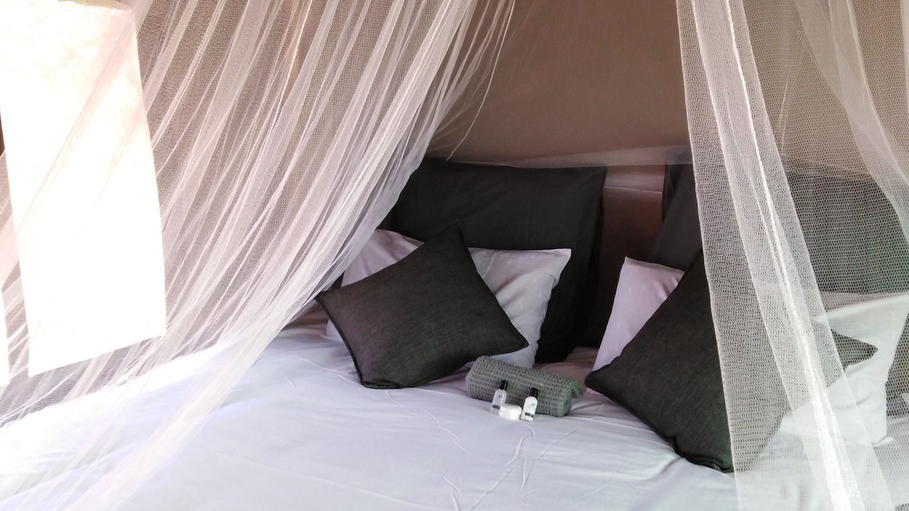 Photo of Outdoor in Kruger National Park