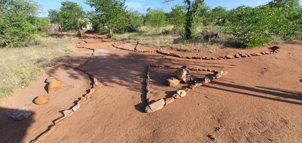 Photo of Outdoor in Kruger National Park