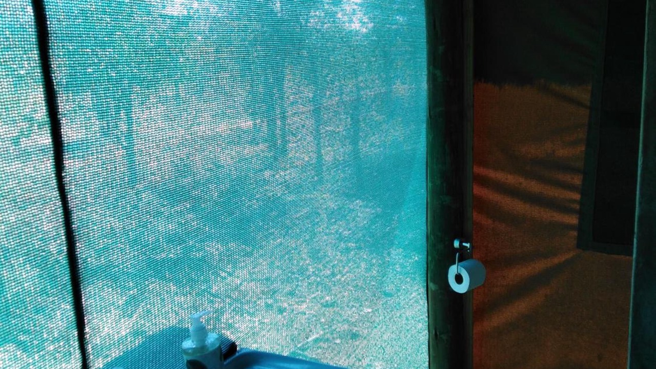 Photo of Others in Kruger National Park