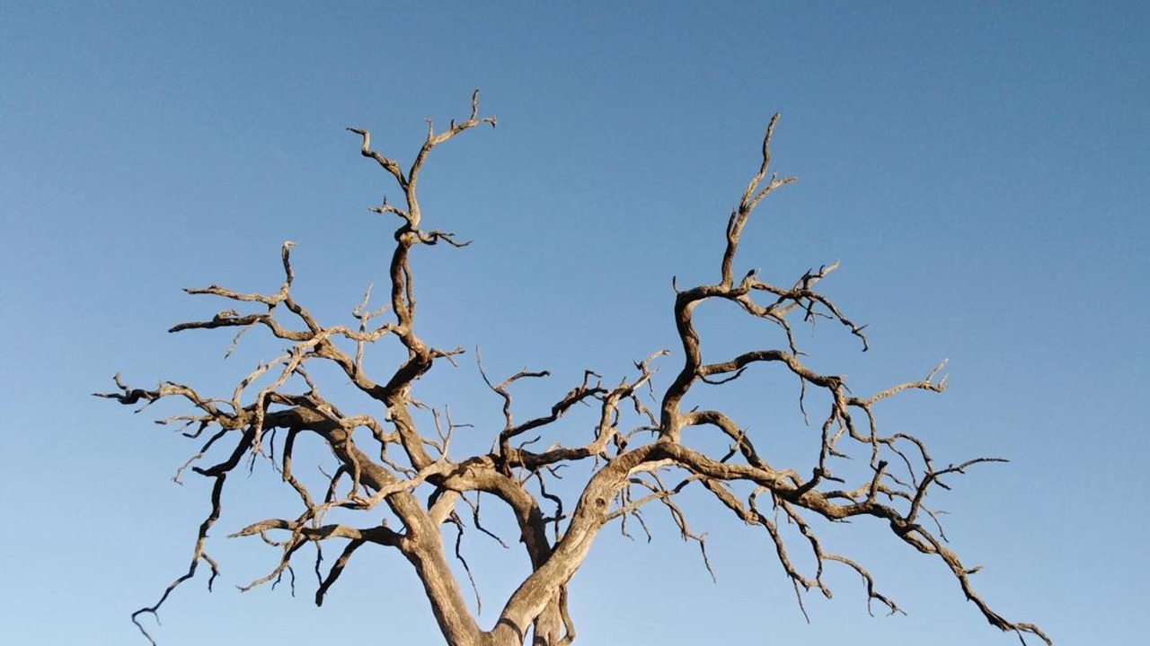 Photo of Outdoor in Kruger National Park