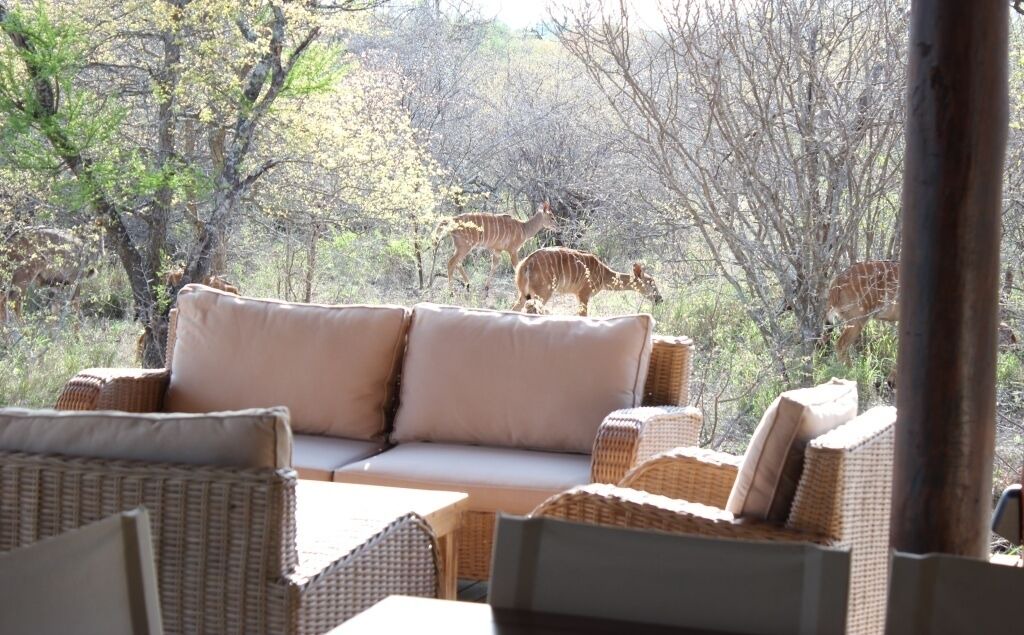 Photo of Outdoor in Hoedspruit