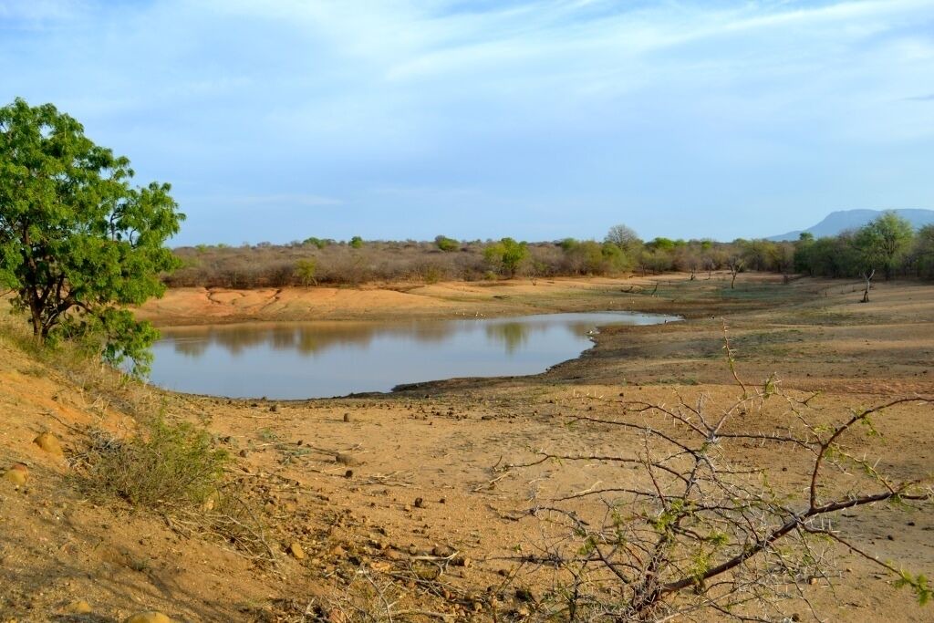 Photo of Outdoor in Hoedspruit